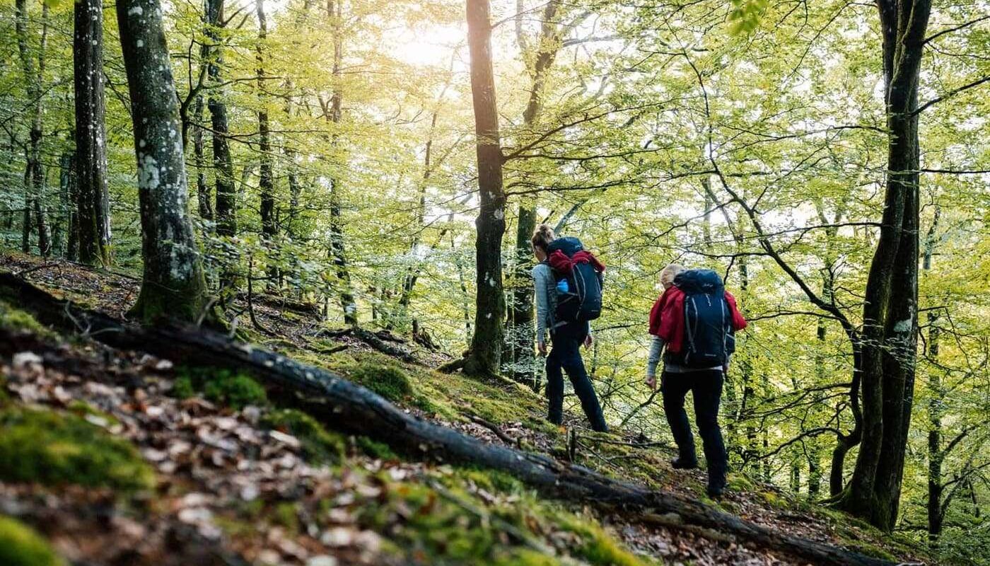 Hälsans stig – Östhammar (4 km)
